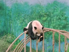 -杭州动物园