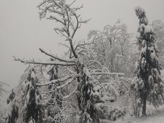 -九峰山