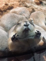 -Zoolung Zoolung动物主题公园(海信广场店)