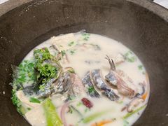 -鲜潭蒸汽石锅鱼(五道口购物中心店)