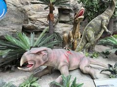 -国家自然博物馆