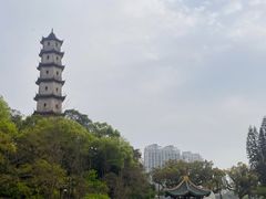 -江心屿景区