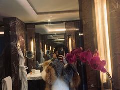 -广州四季酒店