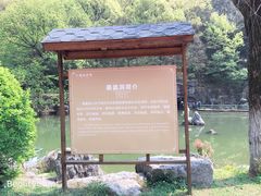 -陶祖圣境风景区