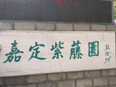 -嘉定紫藤园