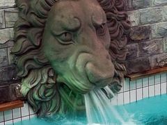 -南宫温泉水世界