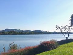 -羊山湖公园