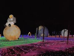 -青龙湖公园