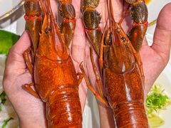 -新光酒家·河豚·海鲜·蟹料理(浦东店)