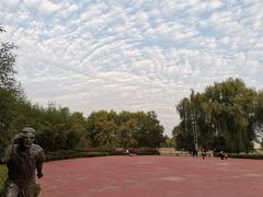 -沙澧河风景区
