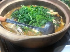 -九道菜有鸡鱼头(石鼓路店)