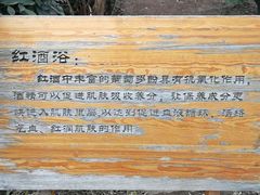 -麦积山温泉