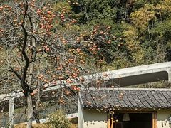 -东钱湖旅游度假区