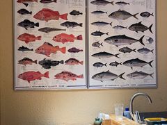 -镹·鱼料理  国产鱼使用店