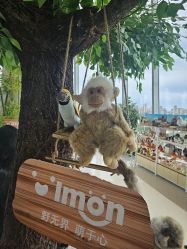 -IMON·HANSA潮玩玩偶毛绒玩具(通州万象汇店)