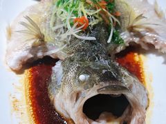 -大鸽饭(岗顶店)