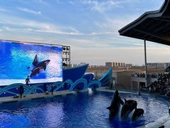 -上海海昌海洋公园
