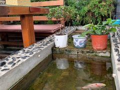 -丽江庭院之爱在路上(西单店)