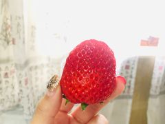 -槐店王婆大虾(新正路店)