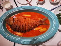 红烧黄河鲤鱼-阿五黄河大鲤鱼(海尚店)