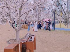 -西北湖绿化广场