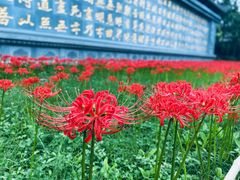 -西安大兴善寺