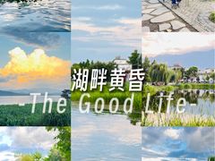 -才村湿地公园
