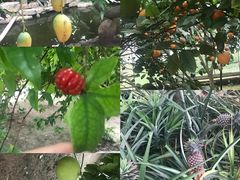 -南通洲际绿博园