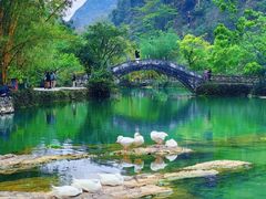 -靖西鹅泉风景区