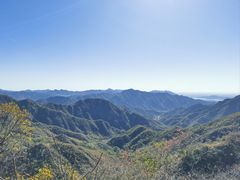 -大岭沟猕猴桃谷风景区
