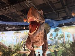 -陕西自然博物馆