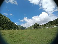 -狮子沟牧场