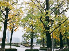 -百林公园-两江幸福广场