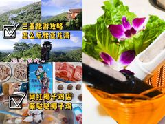 -亚龙湾热带天堂森林公园