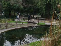 -成都市活水公园