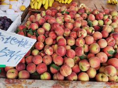 -红星农博物流中心