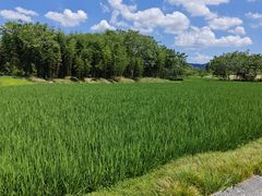 -良渚古城遗址公园