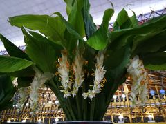 -ခြောက်ထပ်ကြီးရွှေသာလျောင်းဘုရားကြီး