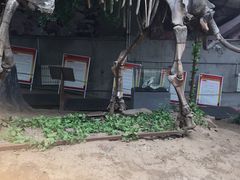 -中国第四纪冰川遗迹陈列馆