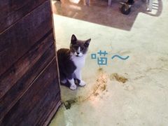 iphone_upload_pic-MIKAKU(万达广场上海宝山店)