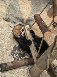 -Zoolung Zoolung动物主题公园(海信广场店)