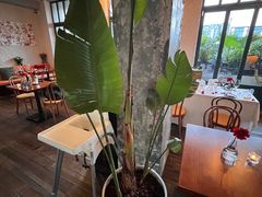 -Laures·月桂西班牙碳烤餐厅(十尚坊店)