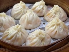 -莱莱小笼·乔艾