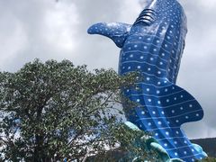 -珠海长隆海洋王国