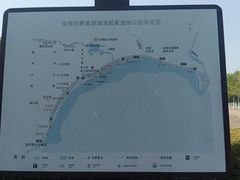 -合肥滨湖国家森林公园