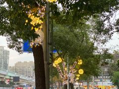 -华航饭店(华馨小区店)