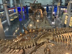 -国家自然博物馆