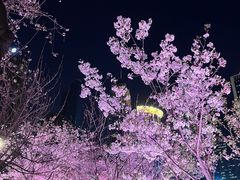 -西北湖绿化广场