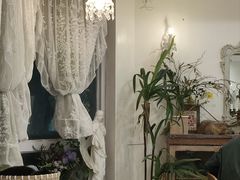 -共舞时光猫咖·狗咖(新街口店)