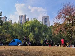 -苏州河梦清园环保主题公园